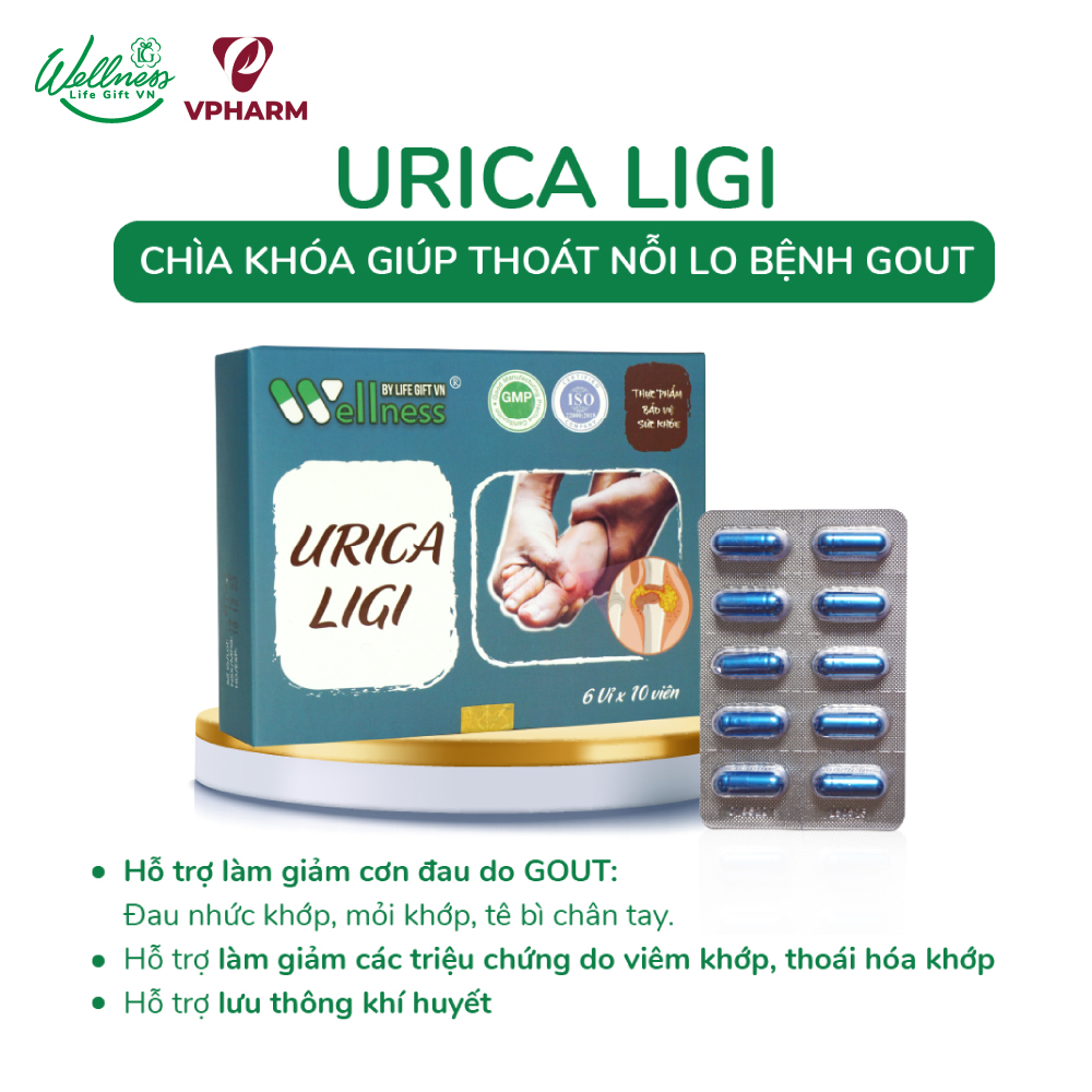 Hỗ trợ sức khỏe Gout URICA LIGI